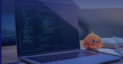 Cover image showing a laptop with code editor open and a small orange plush toy beside it